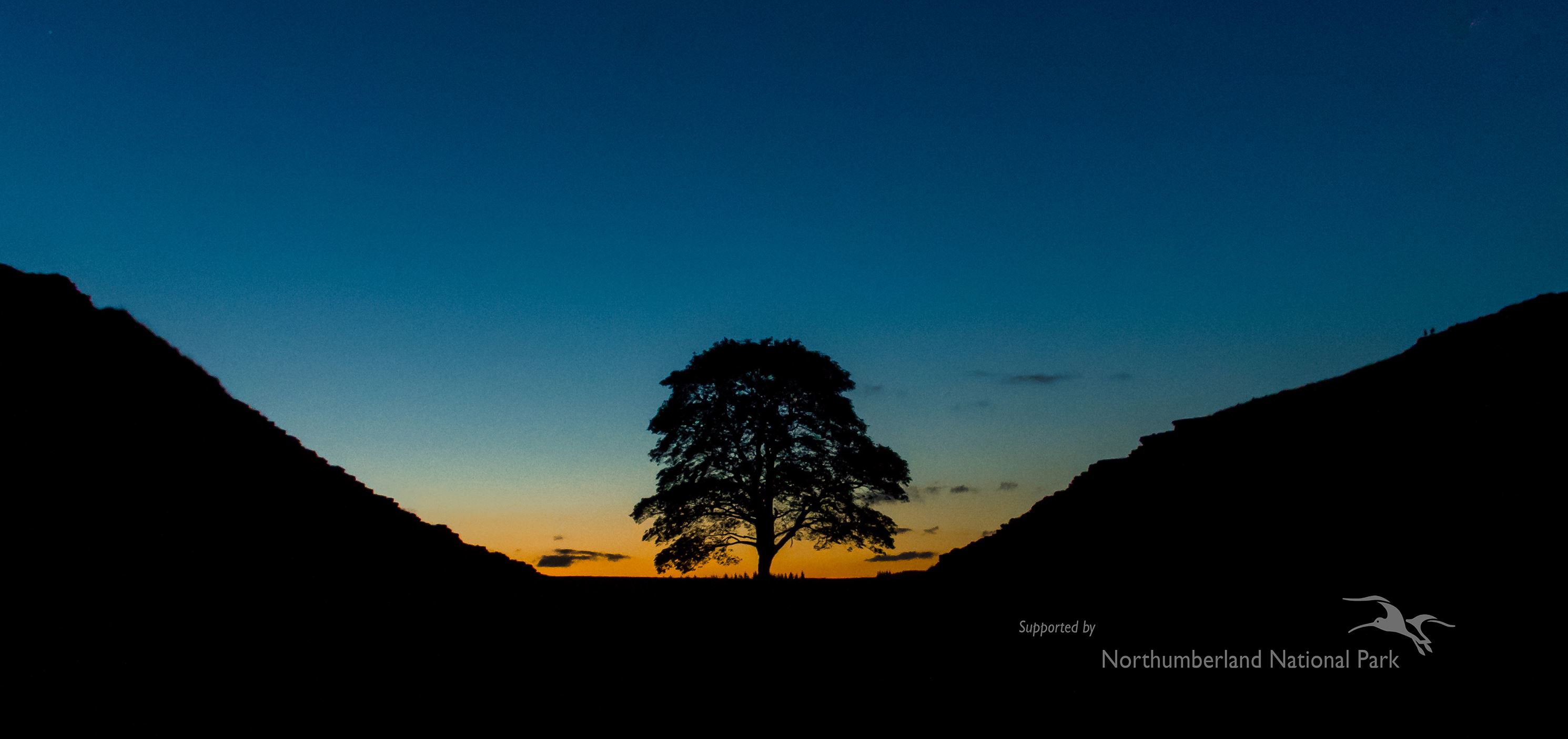 Sycamore Gap